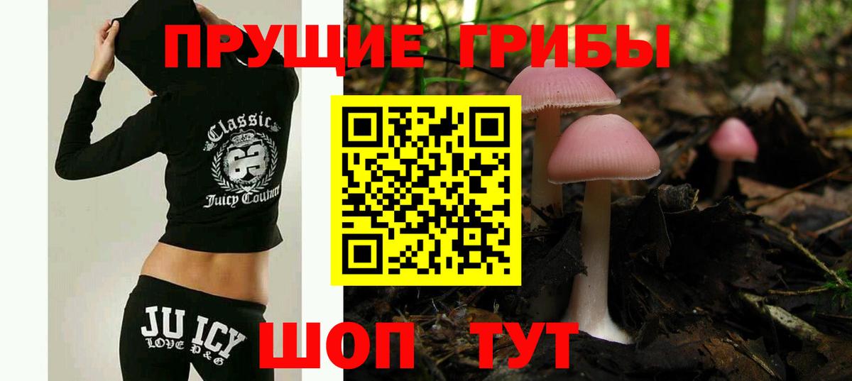 Карпинск  Псилоцибиновые грибы ЛСД  Вход с VPN 